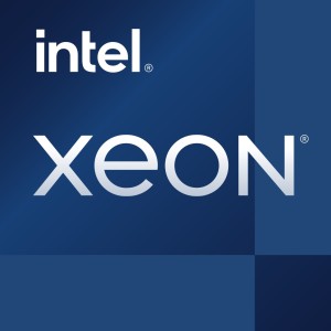 Intel Xeon E-2324G - 3.1 GHz - 4 cores - 4 threads - 8 MB cache - LGA1200 Socket - Box